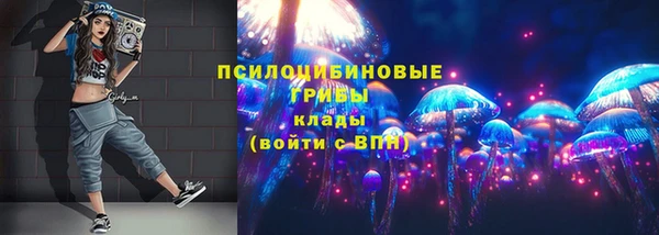 mix Осинники