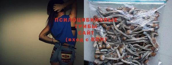 стаф Осташков