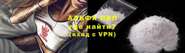 стаф Осташков