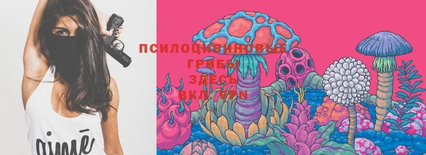каннабис Пестово