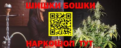 прущие грибы Камышлов