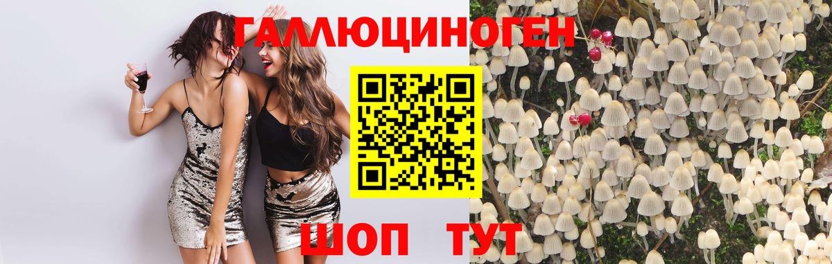 Мурманск  Псилоцибиновые грибы прущие грибы  закладки  Вход с VPN 