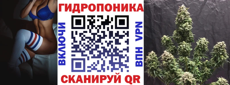 omg ONION  Мурманск  Каннабис тримм  как найти наркотики 